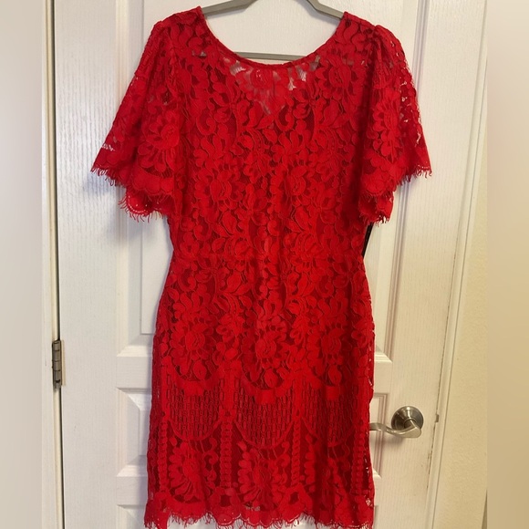 Lulus Red Lace Sheath Dress Short Sleeve Scalloped Hem Size M NWT - Picture 3 of 13